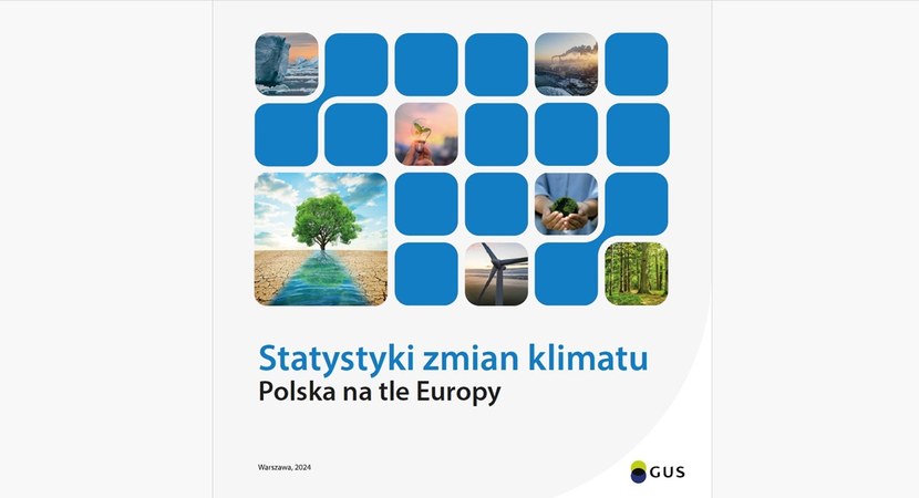 Lasy – kluczowy sojusznik w walce ze zmianami klimatu