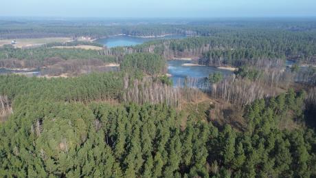 CERTYFIKAT SGSCH-FM/COC-012126